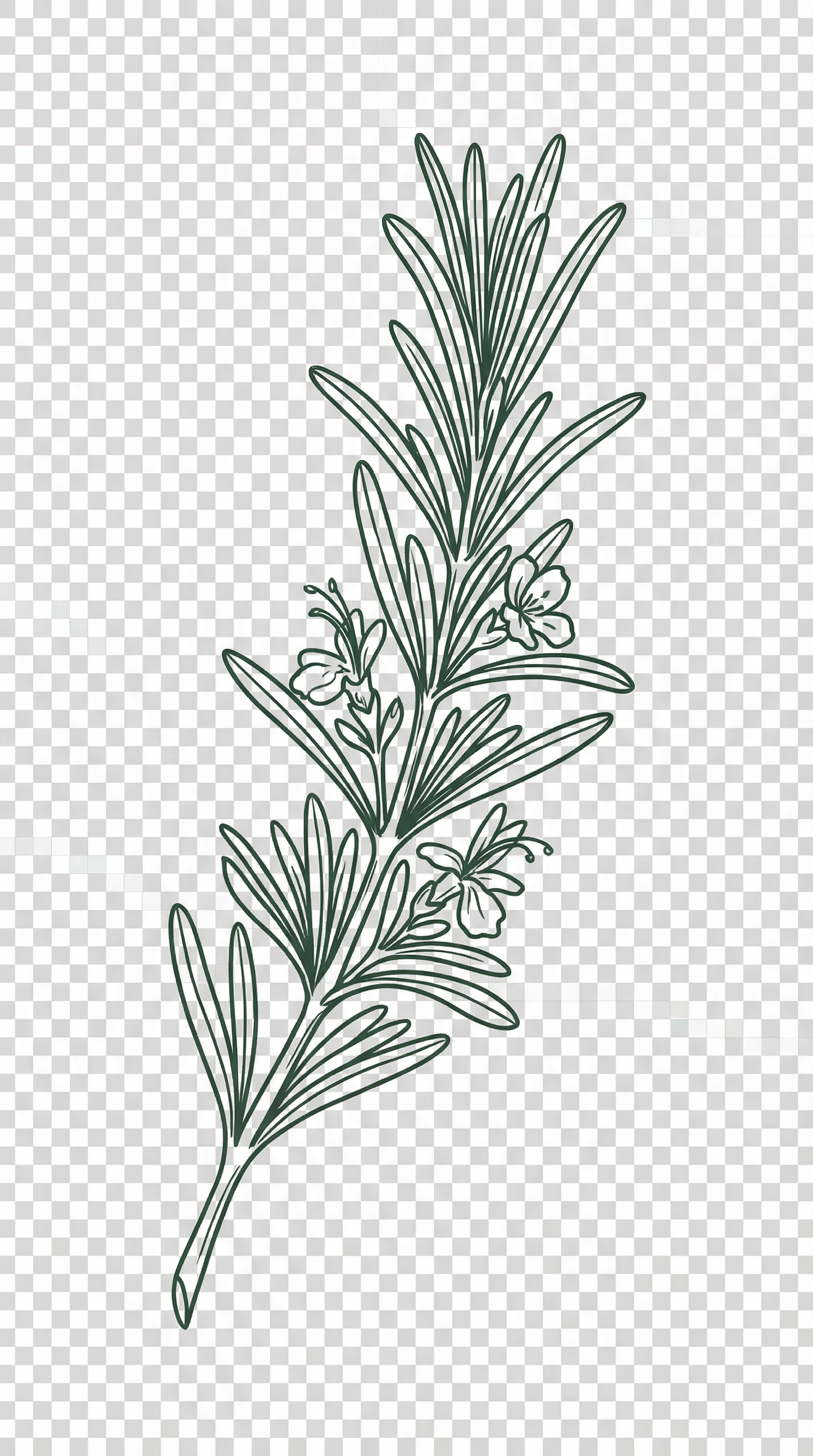 Decorative botanical leaf pattern